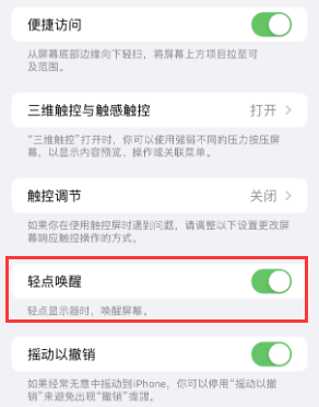 都兰苹果授权维修站分享iPhone轻点无法唤醒怎么办 