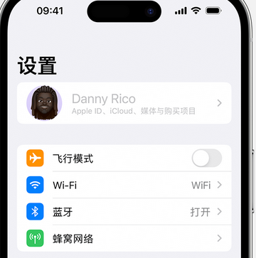 都兰appleID维修服务iPhone设置中Apple ID显示为灰色无法使用