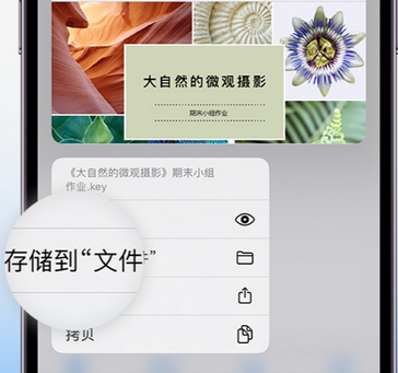 都兰apple维修中心分享iPhone文件应用中存储和找到下载文件