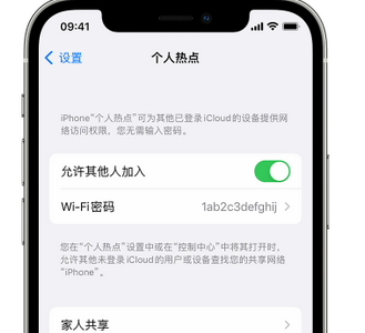 都兰apple服务站点分享iPhone上个人热点丢失了怎么办