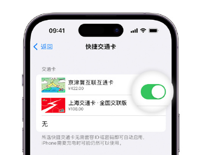 都兰apple维修点分享iPhone上更换Apple Pay快捷交通卡手绘卡面 