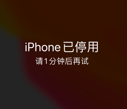 都兰苹果手机维修分享:iPhone 显示“不可用”或“已停用”怎么办？还能保留数据吗？ 