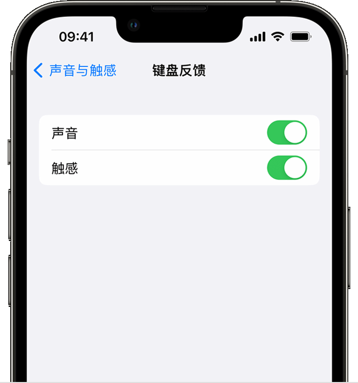 都兰苹果14维修店分享如何在 iPhone 14 机型中使用触感键盘 