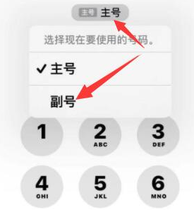 都兰苹果14维修店分享iPhone 14 Pro Max使用副卡打电话的方法 