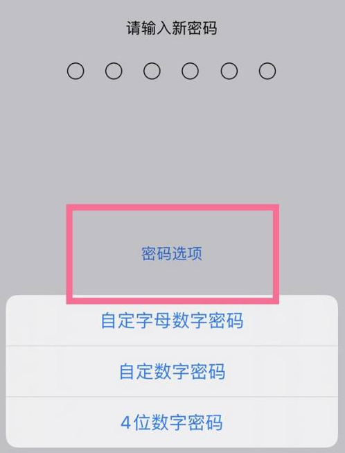 都兰苹果14维修分享iPhone 14plus设置密码的方法 