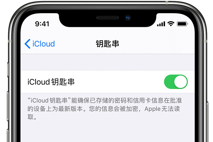 都兰苹果手机维修分享在 iPhone 上开启 iCloud 钥匙串之后会储存哪些信息 