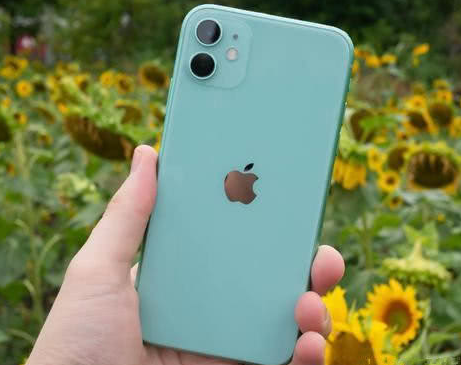 都兰苹果维修点分享iPhone 11锁屏密码认知与使用科普 