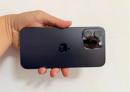都兰苹果维修点分享iPhone 14 Pro Max黑屏少见故障盘点 